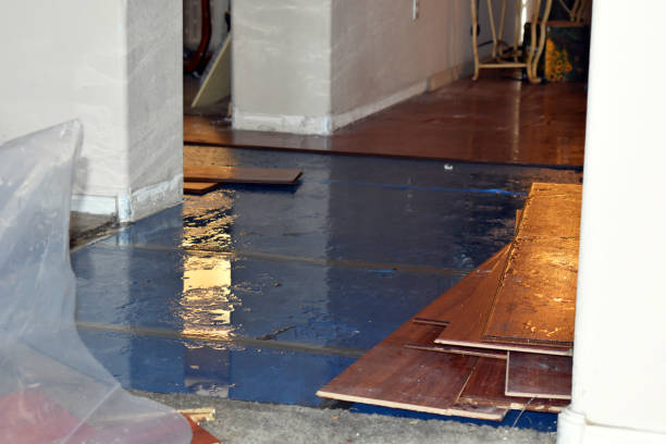 Professional Water Damage Restoration technician working in King, NC